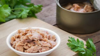 بهترین تن ماهی ایرانی چی بخریم؟ +بهترین مارک تن ماهی ایرانی