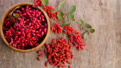 ویژگی زرشک خوب چیست؟ +راهنمای خرید بهترین زرشک ایرانی