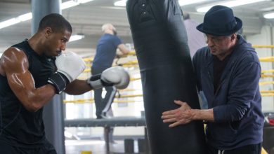 بهترین کیسه بوکس ایستاده و سرعتی (راهنمای خرید) بهترین کیسه بوکس ایستاده و سرعتی (راهنمای خرید)