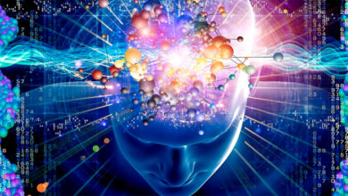 قانون جذب چیست؟ و چگونه از آن استفاده کنیم؟