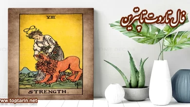 معنی کارت تاروت Strength معکوس و تفسیر کارت قدرت معنی کارت تاروت Strength معکوس و تفسیر کارت قدرت